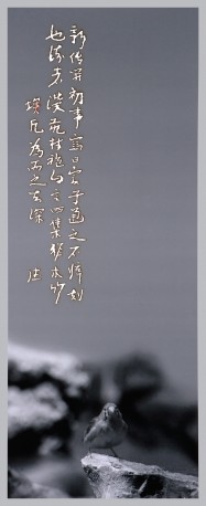 孤山——鸟图No12—01(a)