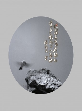 孤山——鸟图No12—03(a)