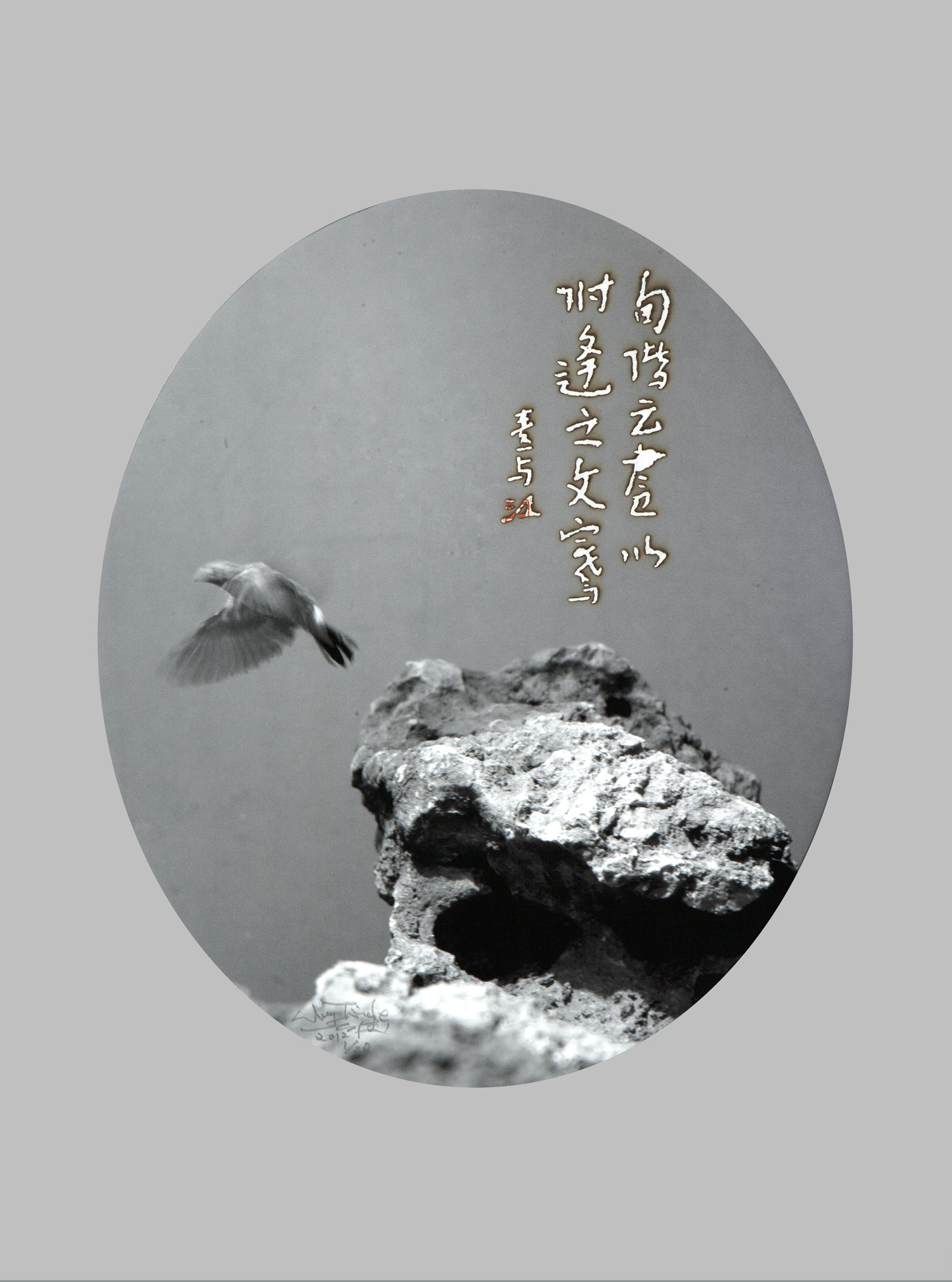 孤山——鸟图No12—03(c)