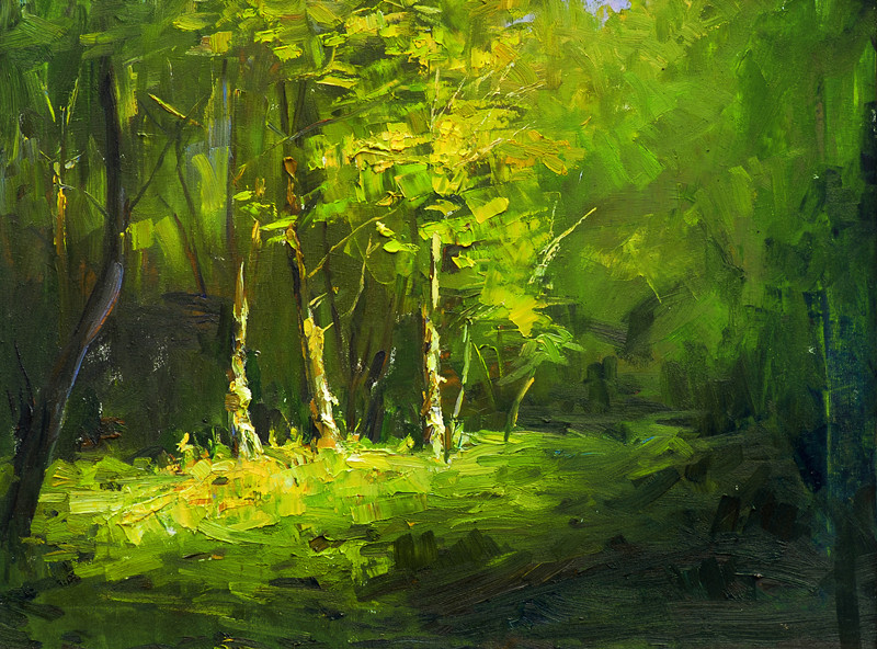   彭龙羽 作品名称 阳光下的树丛 作品分类 油画