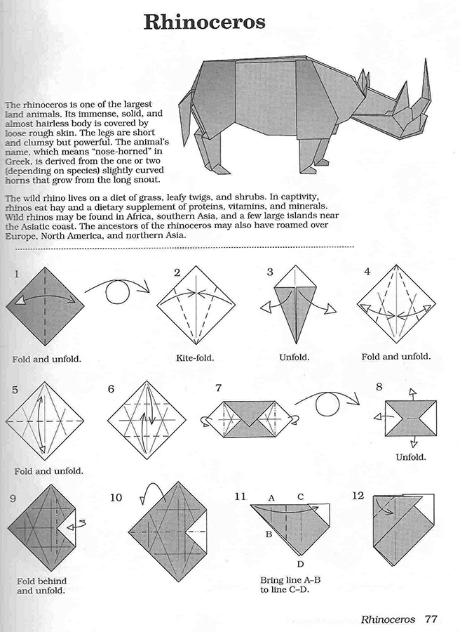 与纸本的对话折纸犀牛