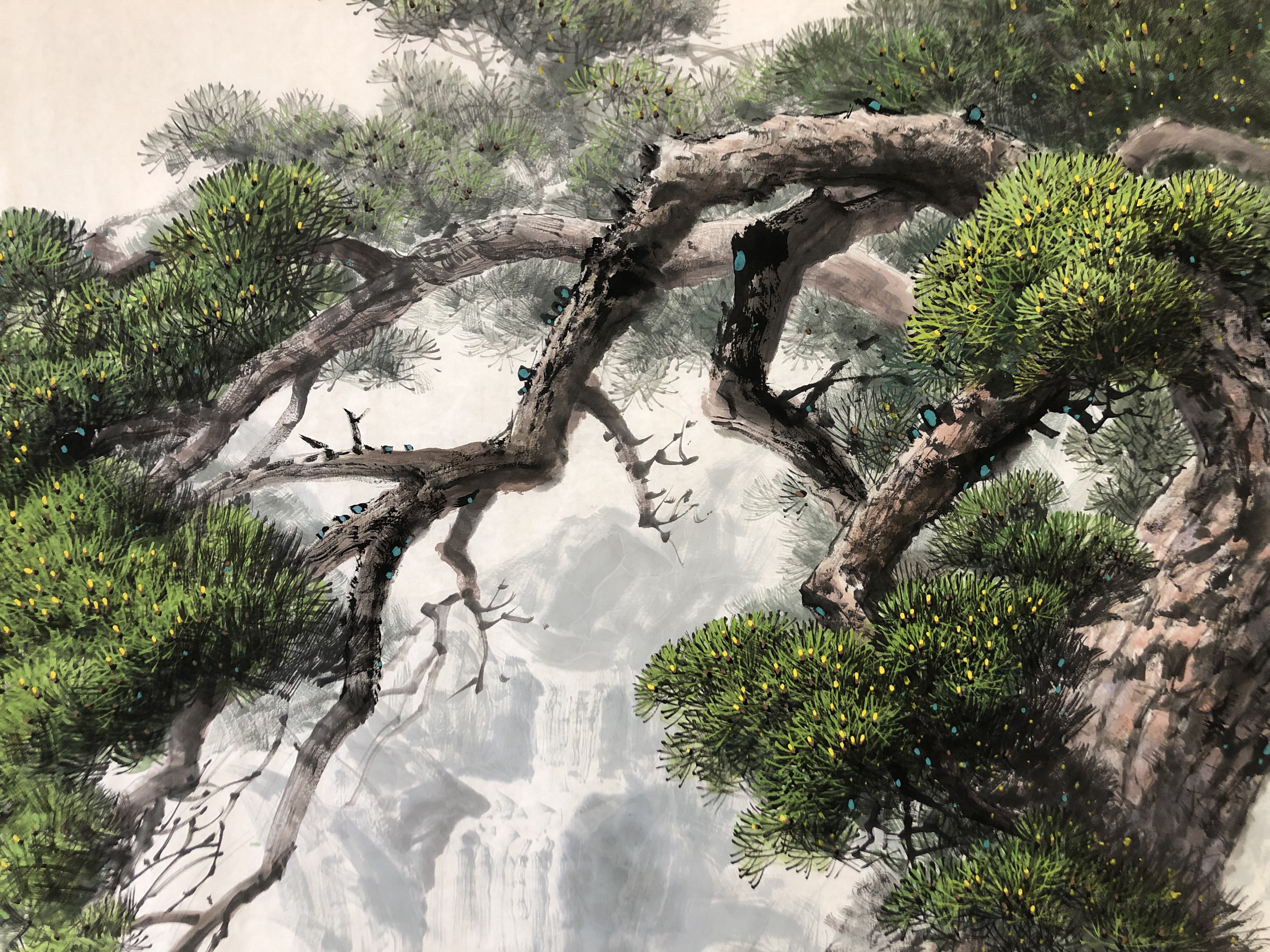 朝鲜一级艺术家裴春顺《金刚山的松树》星朝
