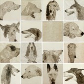 肖像-dogs（4）
