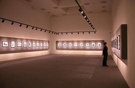 毕加索写照—吕西安·克雷格在华首个展览