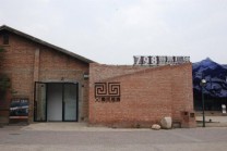 XI艺术机构