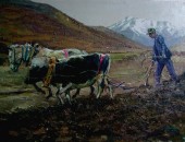 春耕Tibetan Farmer