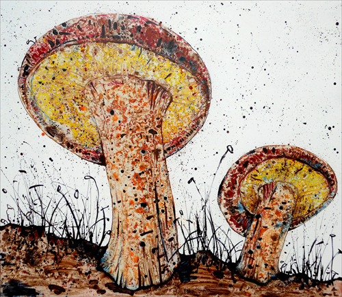 两朵蘑菇
