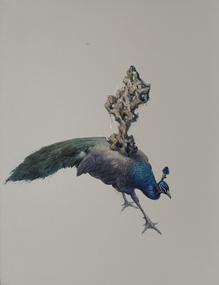 负重的孔雀  The Loaded Peacock