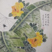 花卉芭蕉