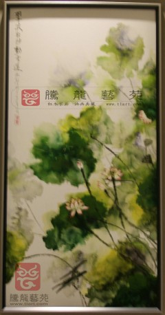 荷花2