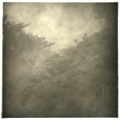雾-石头和草