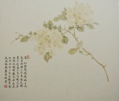 借君晓梦生花管 三