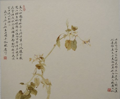 《借君晓梦生花管》一