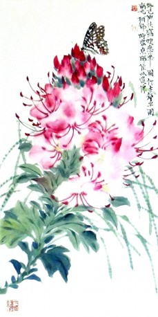 花鸟