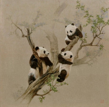 熊猫系列