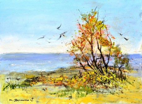 卡马尔格－地中海海岸的金雀花树