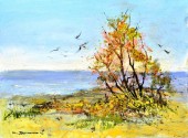卡马尔格－地中海海岸的金雀花树