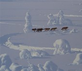 俄罗斯油画《雪地行者》