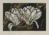 ET BACK-103-y (magnolia) 
