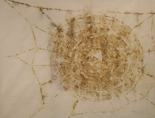 蜘蛛网为大英博物馆做的计画 