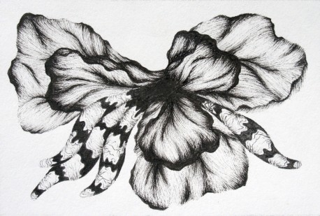 Viola-the flower