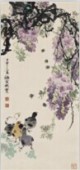 紫藤花鸟