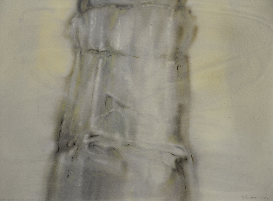 《透明—17》，赵龙，74x57cm，纸上水彩2010