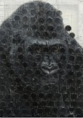 远望的猩猩-1The Gorilla Looking Far into the Distance-1