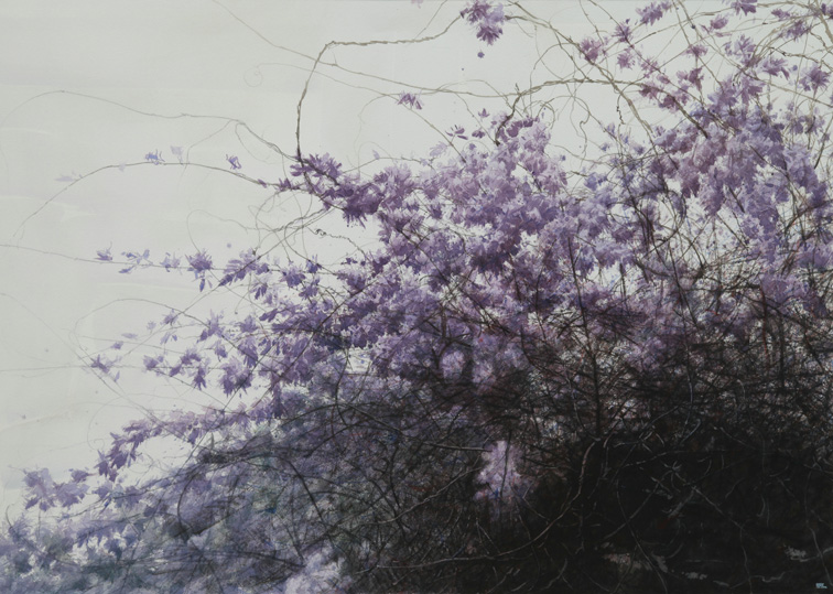 紫藤 2014 112×80cm