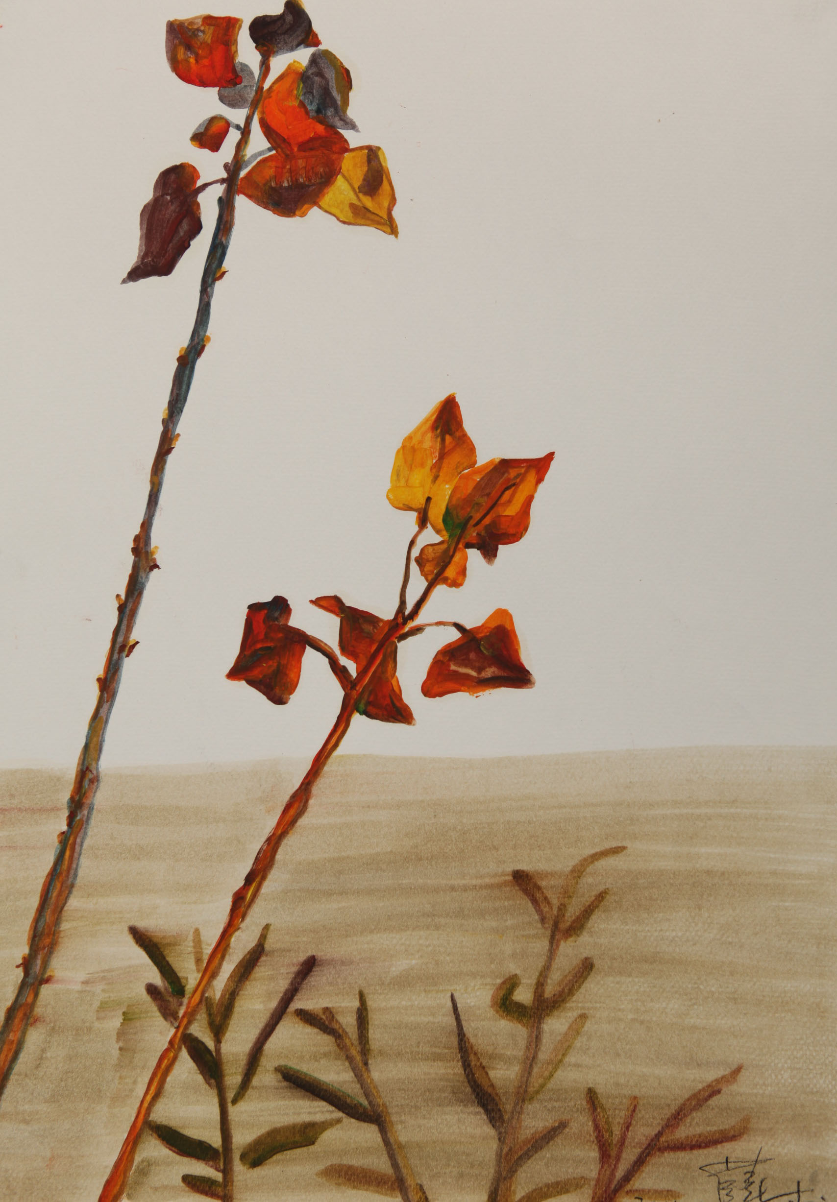 薛松 《湿地公园》纸本油画 56X39cm 2012