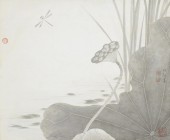 荷藕蜻蜓