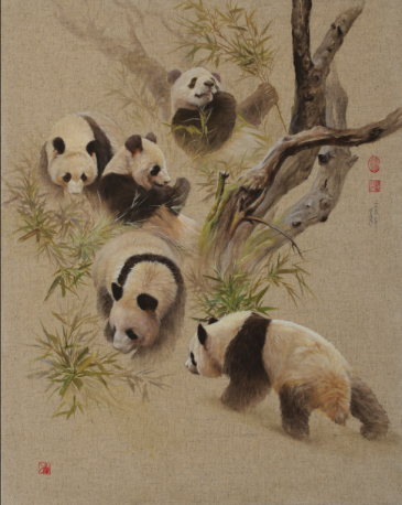 熊猫系列65x82 5（20082014）
