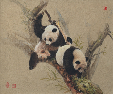 熊猫系列82x65（20082014）