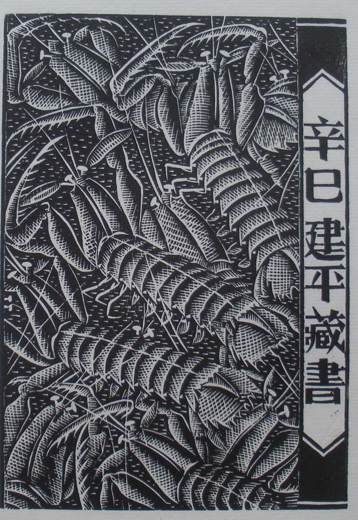 藏书票植物黑白灰图片