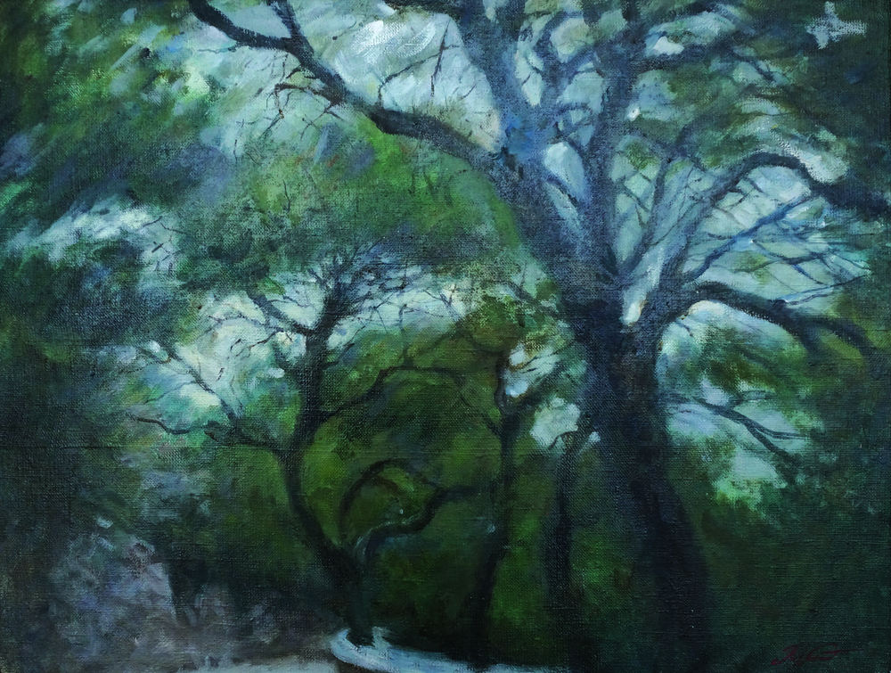 《克里米亚的松树》哈尔基科娃·玛利亚37X49