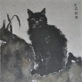 流浪猫 之一