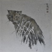 流浪猫 之十二