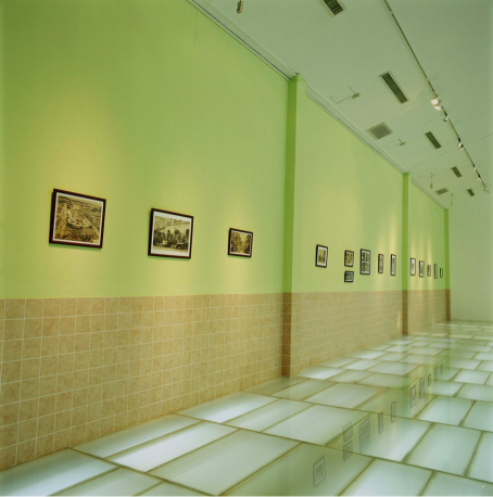 Natural HistoryTiles, painted interior walls, wall trim, framed photos Dim Var2010