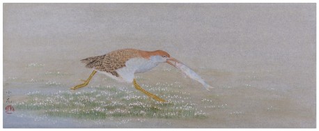 步履匆匆（蓝胸秧鸡）银笺  50X20CM