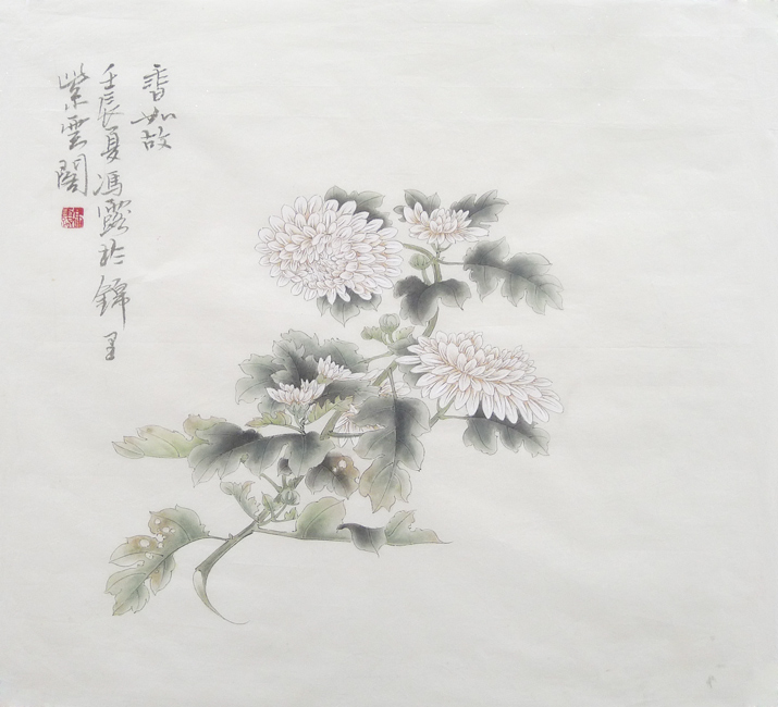 香如故（菊花）