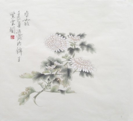 香如故（菊花）