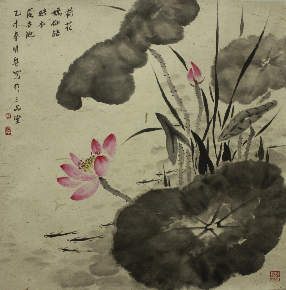 荷花娇欲语68CM68