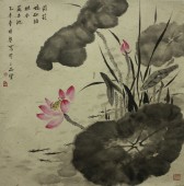 荷花娇欲语68CM68