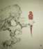 太湖石红鹦鹉