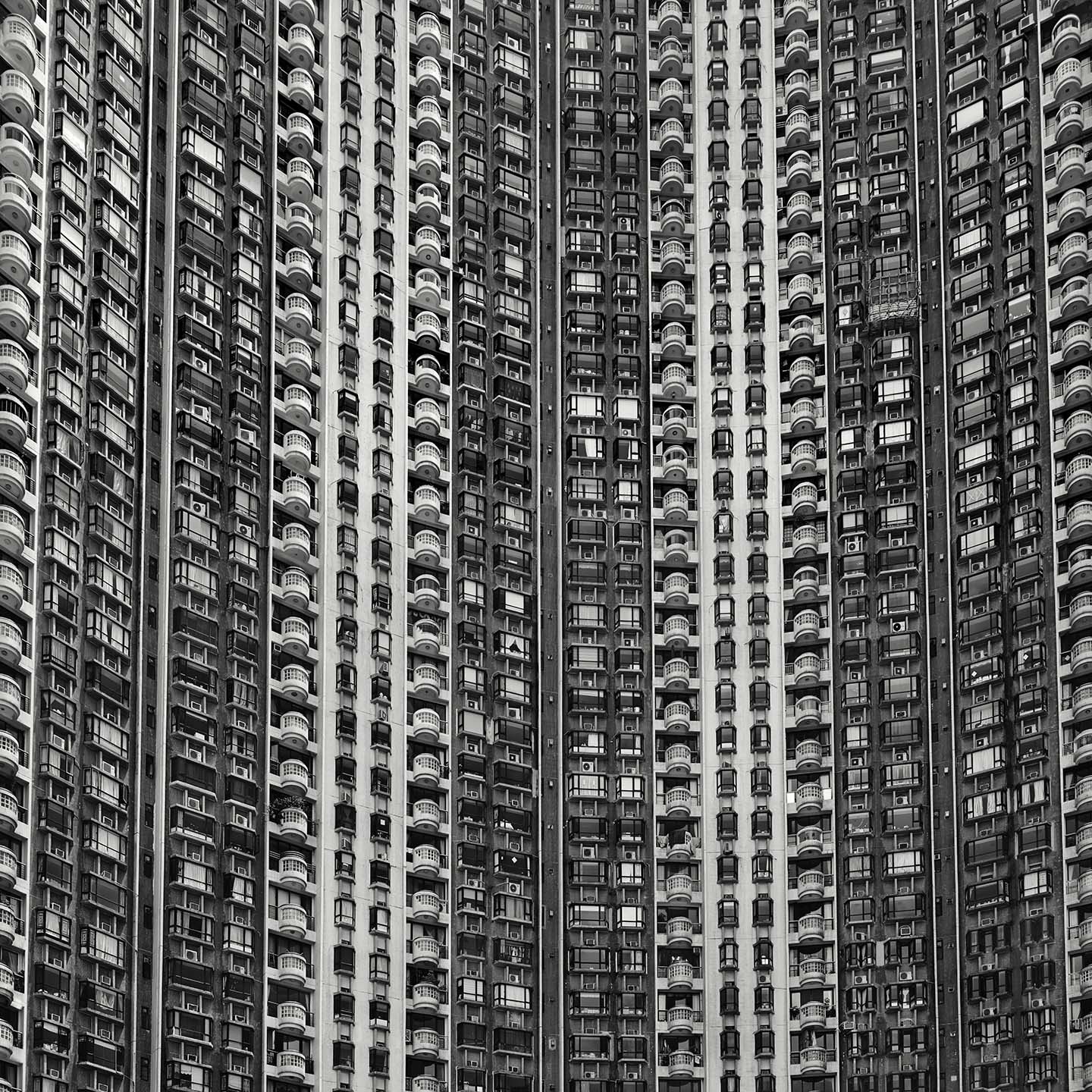 One Thousand Flats, Hong Kong  2013