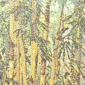 杨冕《无题1》80×80cm 布面油画 2015
