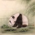 敬双武 熊猫戏蝗虫（一） 72×72 
