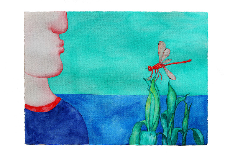 red dragonfly 3037 watercolour  2014 _副本