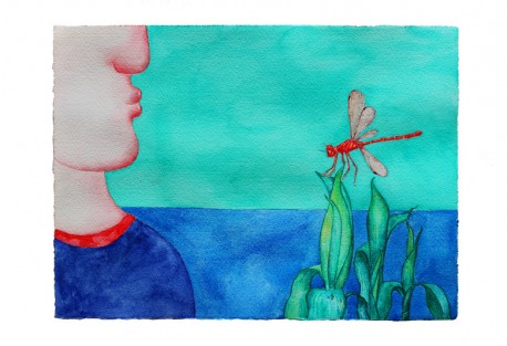 red dragonfly 3037 watercolour  2014 _副本