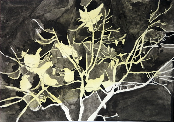 习作《树上的鸡》水彩，纸本，23×33cm，2015年